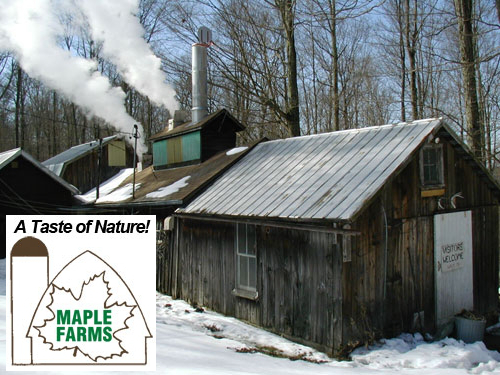 pure maple production